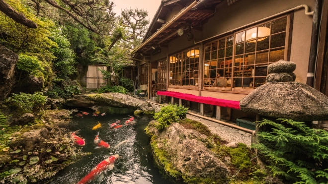 Japanese garden with koi carp