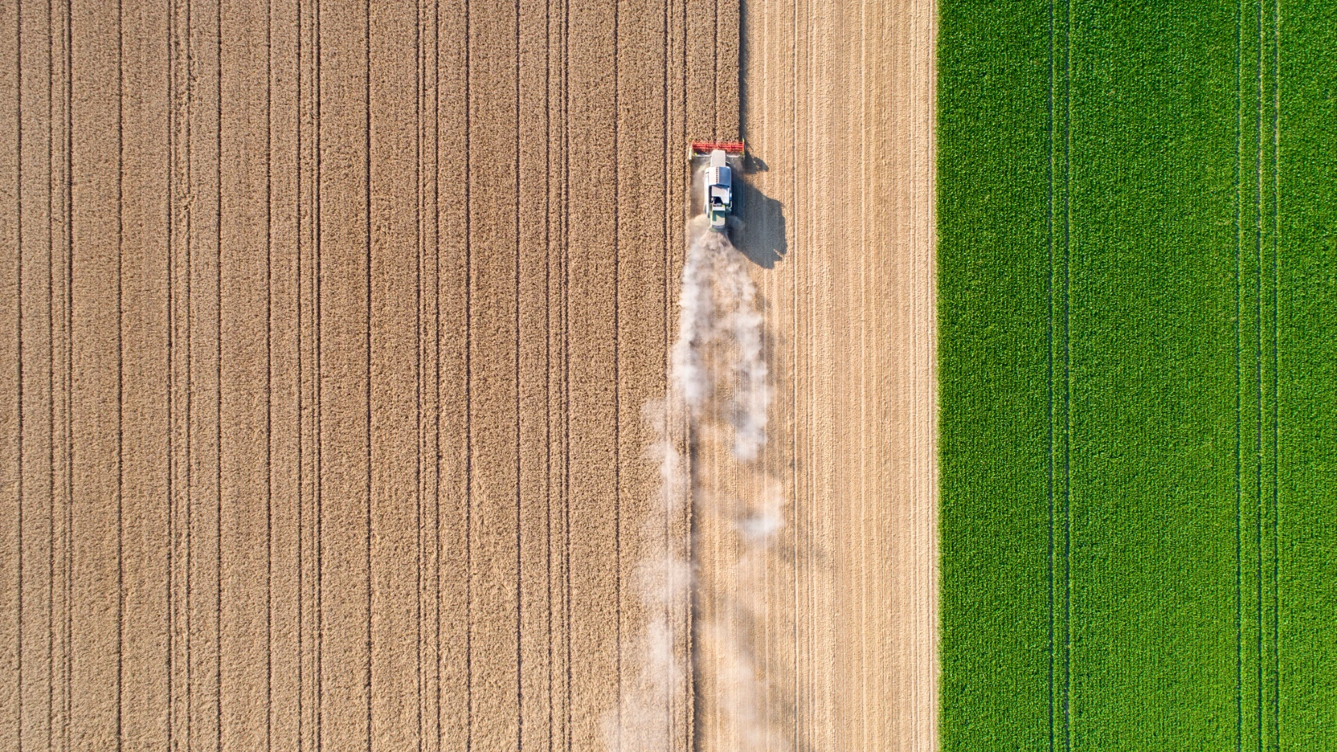 Over head view of farming tractor ploughing a field